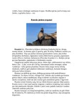 Gyvūnų jutimo organų įvairovė 15 puslapis