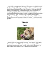 Gyvūnų jutimo organų įvairovė 16 puslapis