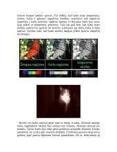 Gyvūnų jutimo organų įvairovė 6 puslapis