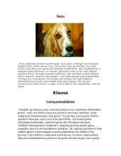 Gyvūnų jutimo organų įvairovė 8 puslapis