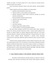 Globali oro tarša 3 puslapis