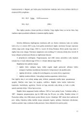 Globalinis klimato atšilimas, priežastys bei padariniai 11 puslapis