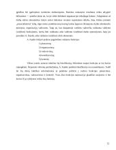 Globalizacijos ir valdymo sąvokų sankirtos 11 puslapis