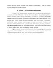 Globalizacijos ir valdymo sąvokų sankirtos 16 puslapis