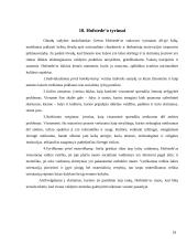 Globalizacijos ir valdymo sąvokų sankirtos 17 puslapis