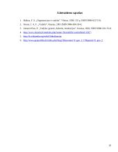 Globalizacijos ir valdymo sąvokų sankirtos 19 puslapis