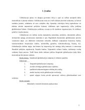 Globalizacijos ir valdymo sąvokų sankirtos 2 puslapis