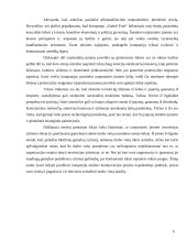 Globalizacijos ir valdymo sąvokų sankirtos 8 puslapis