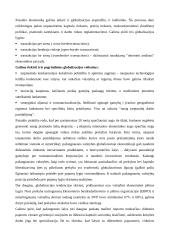 Globalizacija pasaulio ūkyje 2 puslapis