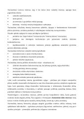 Globalizacija pasaulio ūkyje 11 puslapis