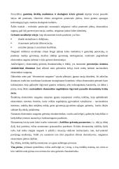 Globalizacija pasaulio ūkyje 13 puslapis