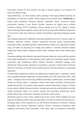 Globalizacija pasaulio ūkyje 5 puslapis