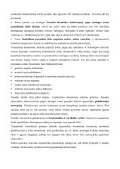 Globalizacija pasaulio ūkyje 7 puslapis