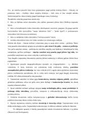 Globalizacija pasaulio ūkyje 8 puslapis