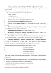 Globalizacija pasaulio ūkyje 9 puslapis