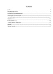 Globalizacija. Globalinis verslas