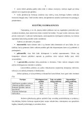Globalizacija. Globalinis verslas 9 puslapis