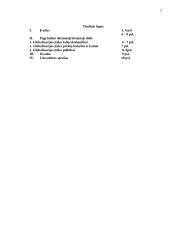 Globalizacijos įtaka valstybių ekonominiam ir politiniam gyvenimui 2 puslapis