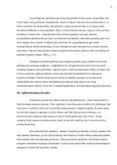 Globalizacijos įtaka valstybių ekonominiam ir politiniam gyvenimui 9 puslapis