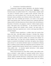 Globalizmas: dominavimas ir priklausomybė 3 puslapis