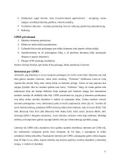 GPRS veikimo principas 4 puslapis