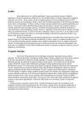 GPS automobilyje 3 puslapis