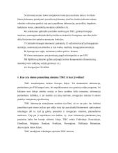 GPS Navigacinės sistemos automobiliuose 9 puslapis