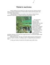 Graikijos maršruto planas 5 puslapis