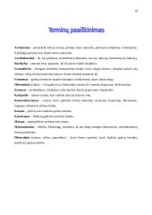 Graikų skulptūra 11 puslapis