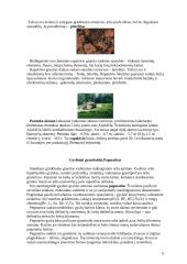 Granitas ir granitoidai 6 puslapis
