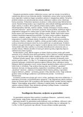 Granitas ir granitoidai 8 puslapis