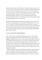 Greitasis prototipavimas 4 puslapis