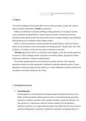 Greitasis prototipavimas 6 puslapis