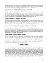 Griežtos dietos 11 puslapis