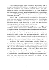 Grupinio darbo organizavimo analizė 13 puslapis
