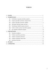 Grupinių ir individualių valdymo sprendimų priėmimo ypatumai 2 puslapis