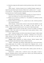 Grupinių ir individualių valdymo sprendimų priėmimo ypatumai 11 puslapis