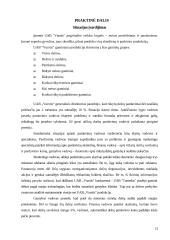 Grupinių ir individualių valdymo sprendimų priėmimo ypatumai 13 puslapis