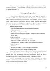 Grupinių ir individualių valdymo sprendimų priėmimo ypatumai 14 puslapis