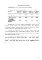 Grupinių ir individualių valdymo sprendimų priėmimo ypatumai 17 puslapis