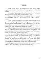 Grupinių ir individualių valdymo sprendimų priėmimo ypatumai 20 puslapis