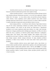 Grupinių ir individualių valdymo sprendimų priėmimo ypatumai 3 puslapis