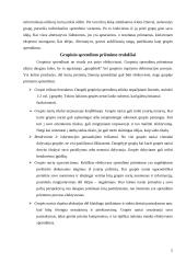 Grupinių ir individualių valdymo sprendimų priėmimo ypatumai 5 puslapis