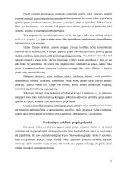 Grupinių ir individualių valdymo sprendimų priėmimo ypatumai 8 puslapis