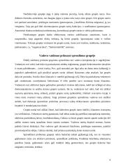 Grupinių ir individualių valdymo sprendimų priėmimo ypatumai 9 puslapis