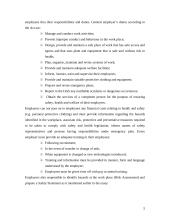 Health and safety 5 puslapis