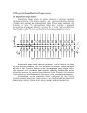 Hektometrinių bangų sklidimas dieną. Dekametrinių bangų bėgančiosios bangos antenos 5 puslapis
