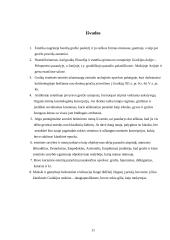 Antikos ir Helenizmo estetika 11 puslapis