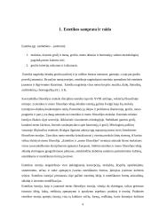 Antikos ir Helenizmo estetika 4 puslapis