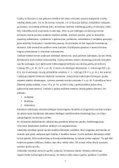 Antikos ir Helenizmo estetika 7 puslapis